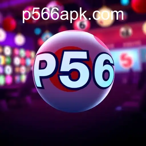 The Digital Evolution of Online Bingo - Understanding P566 and Beyond